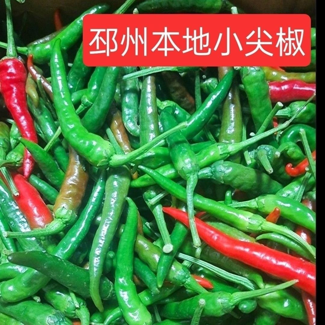 农家自种现摘新鲜青椒辣椒