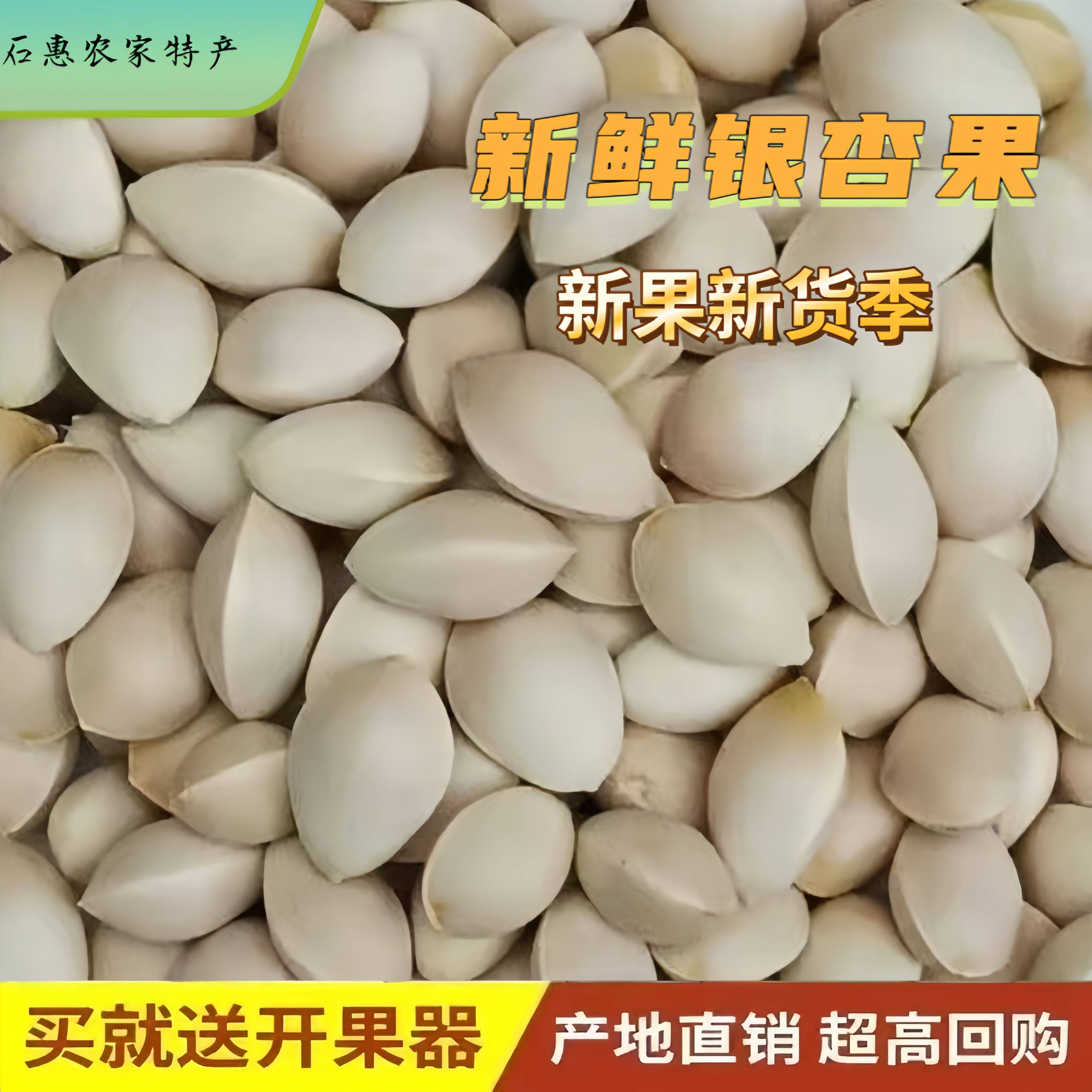 新鲜带壳大颗粒生白果