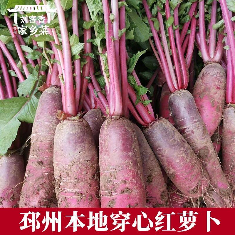 邳州穿心红萝卜新鲜现拔现发甜脆农家紫皮水果萝卜红心特产蔬菜