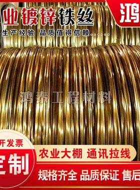 热镀锌防锈黄色铁丝铁线钢丝8号铁丝园艺铁丝手工铁丝葡萄架拉线