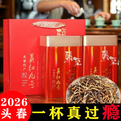 2026新茶叶高端金毛毫头春英德红茶英红九号500g浓香型广东送礼