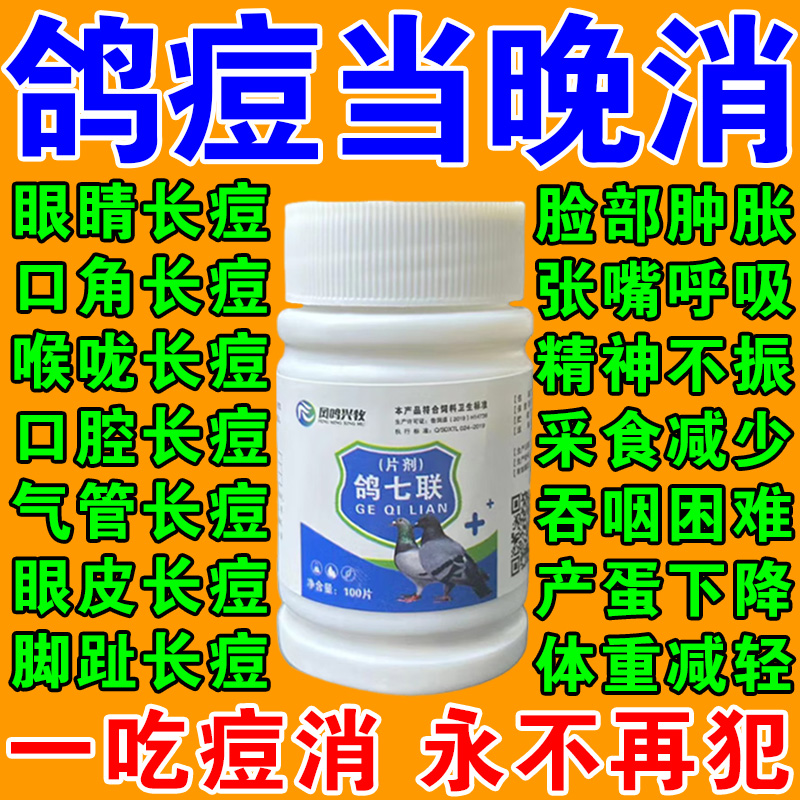 鸽痘专用药特效鸽痘灵治鸽子长鸽痘的药嘴角眼皮爪子长脓鸽药大全