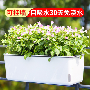 塑料种菜神器K家庭阳台挂墙长方形壁挂 懒人花盆自动吸水2021新款