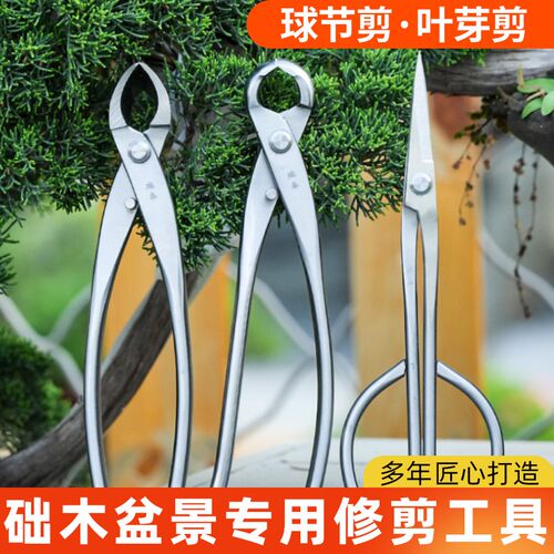 修枝剪球节剪盆景工具叶芽剪叉枝剪树瘤树节O球形钳盆景造型工具