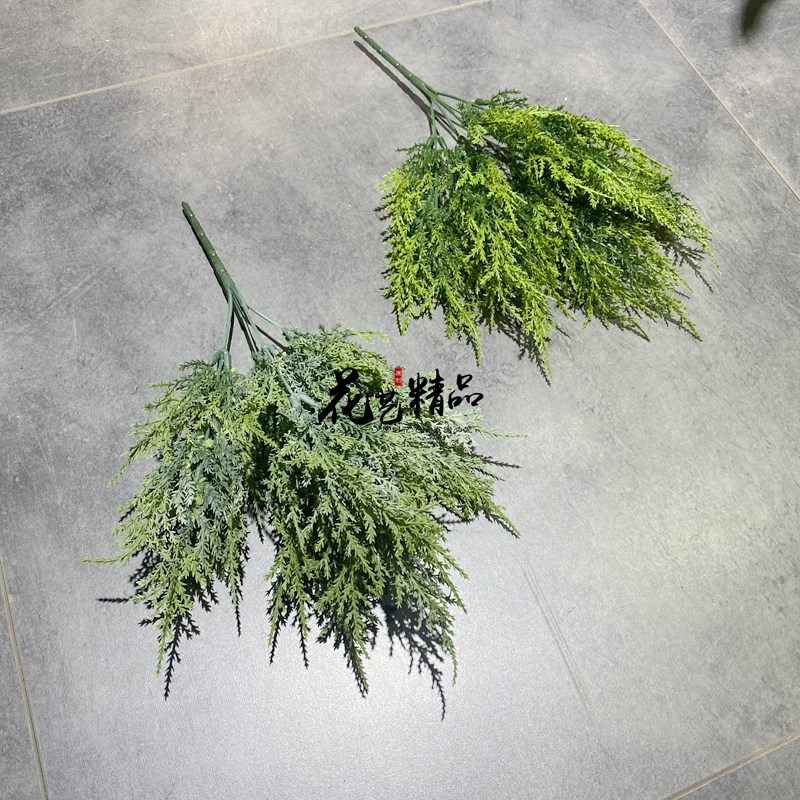 柏树枝把束新年插花绿植素材松柏树叉圣诞树装饰品X家居摆放造景