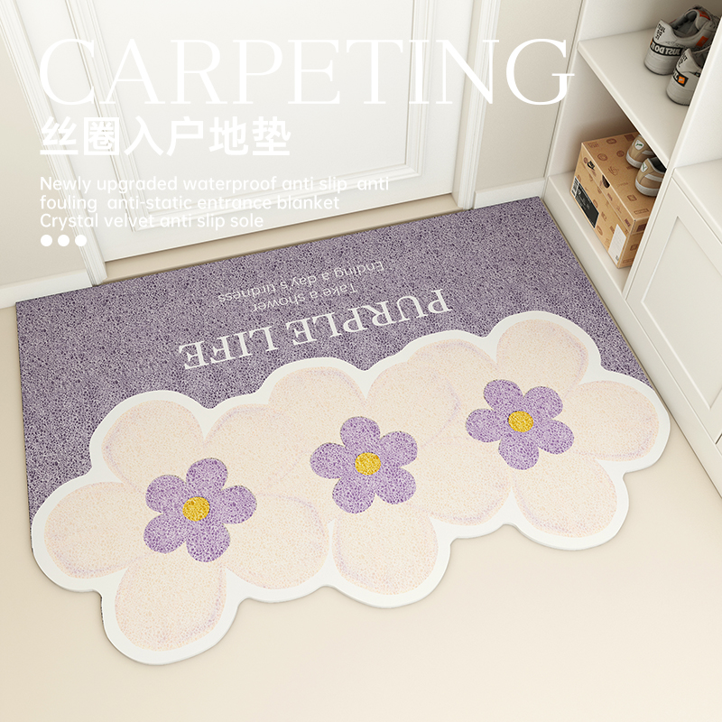 门口地垫入户门外丝圈脚垫小清新进门门垫家用玄Q关地毯2024新款