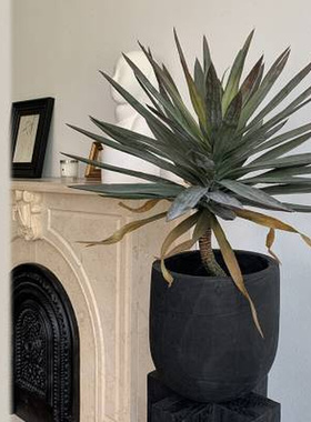 侘寂实木墩子雕塑摆台底座家居装饰花架碳化原木树桩摆件客厅落地