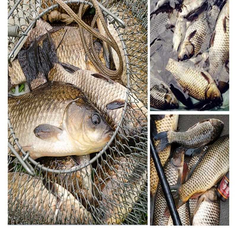 山西神聚新品独耀钓鱼小药黑坑鲫鱼鲤鱼饵料添加剂猾鱼老鱼回锅鱼