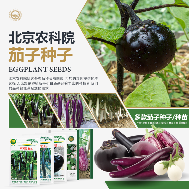 农科院茄种子大全四季易种抗性强