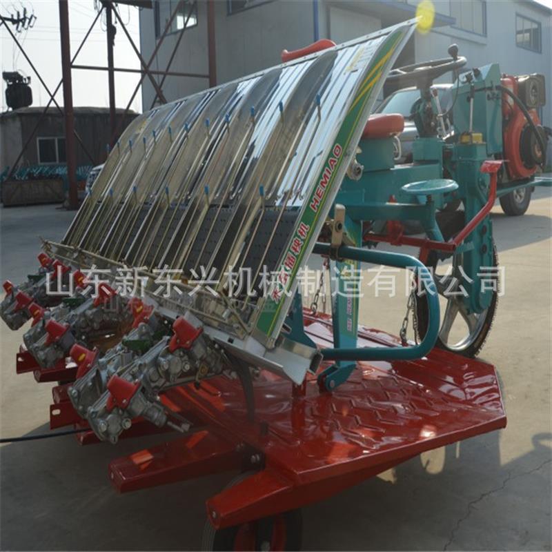 高速乘坐式水稻插秧机水稻秧苗种植机 水稻插秧机六行小型栽苗机