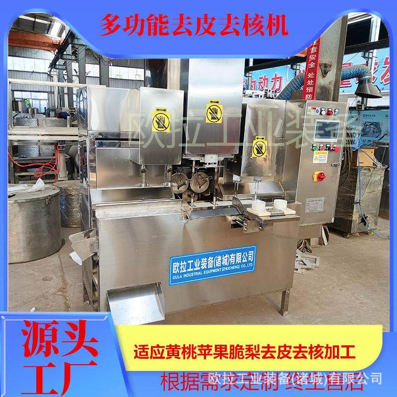 脆梨工业削皮去核机 水果去核设备 桃子苹果全自动去核加工生产线
