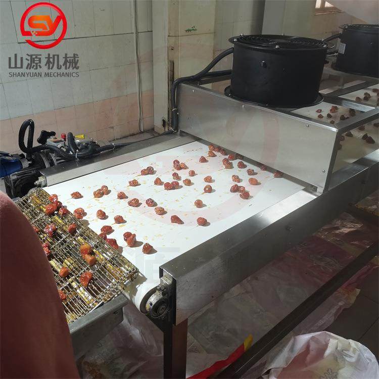 全自动脆枣裹糖机冻干山楂裹糖设备糖葫芦浸糖机,清洗/食品/商业设备,休闲食品加工设备,淘宝优惠券,粉丝福利购,淘宝优惠卷