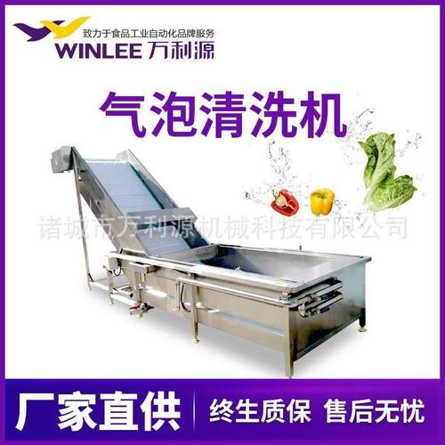 果蔬气泡清洗机 去除农药残留 可配置臭氧杀菌 防腐防锈 厂家直供