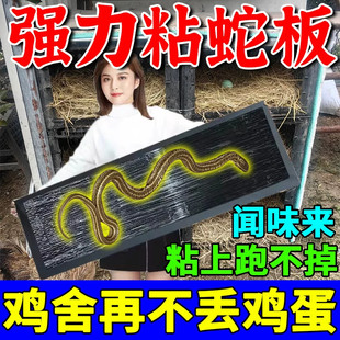 粘蛇专用板鸡舍防蛇神器养殖场强力粘蛇板灭蛇魔毯驱蛇专用强粘型