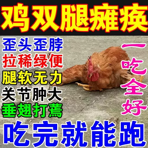 Куриные ноги не могут встать, парализованные, мягкие куриные ноги парализовали лекарство от курицы Daquan Специальный эффект. Специальное лекарство от заболеваемости, все, все, король, король
