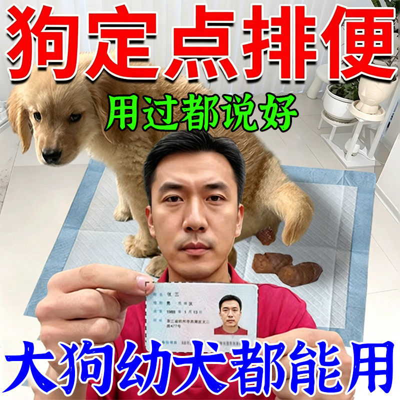 当晚学会】狗狗定点上厕所神器训练宠物狗大小排便不乱拉屎诱导剂