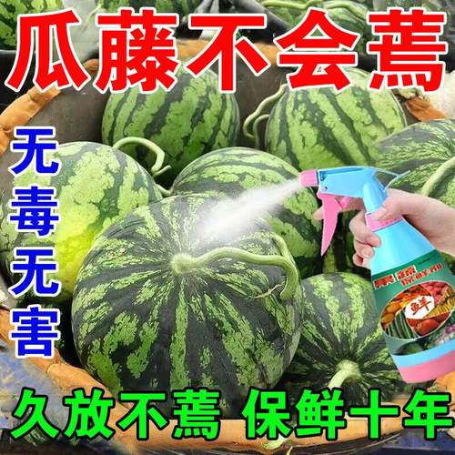 水果蔬菜保鲜剂食品延长储存专用防腐烂防焉专用杀菌剂喷洒浸泡液