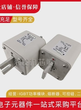 【议价】170M6015/6016/6017/6018/6019/6020/6021熔断器