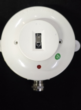 【议价】NGDE RDFD-100 火焰探测器 议价