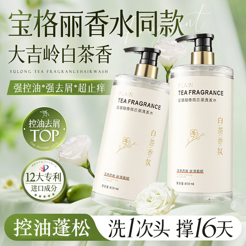 Amino Acid White Tea Shampoo氨基酸白茶蓬松控油去屑洗发水