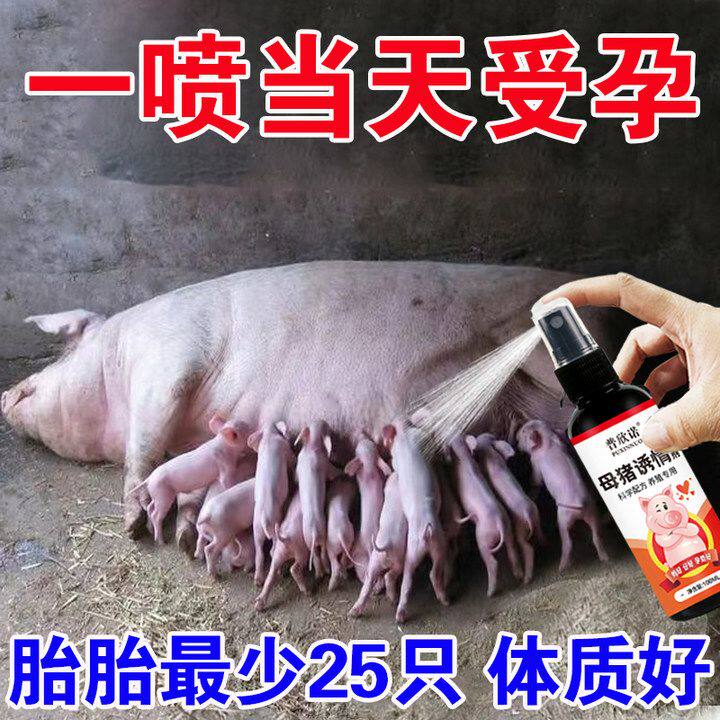 母猪诱情剂喷雾促卵催孕猪用猪催精公猪诱情专用