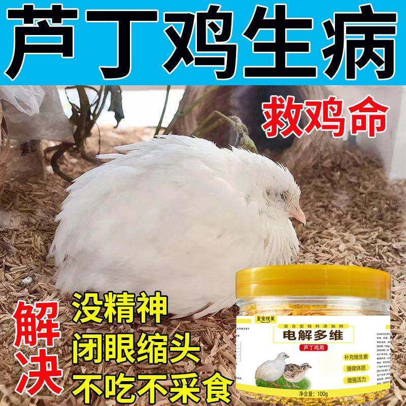 芦丁鸡电解多维芦丁鸡秃背无毛防溅多种维生素抗应激提高产蛋受精