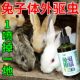 兔子用品体外驱虫皮肤病消毒杀菌外用兔子去跳蚤除螨虫专用杀虫剂