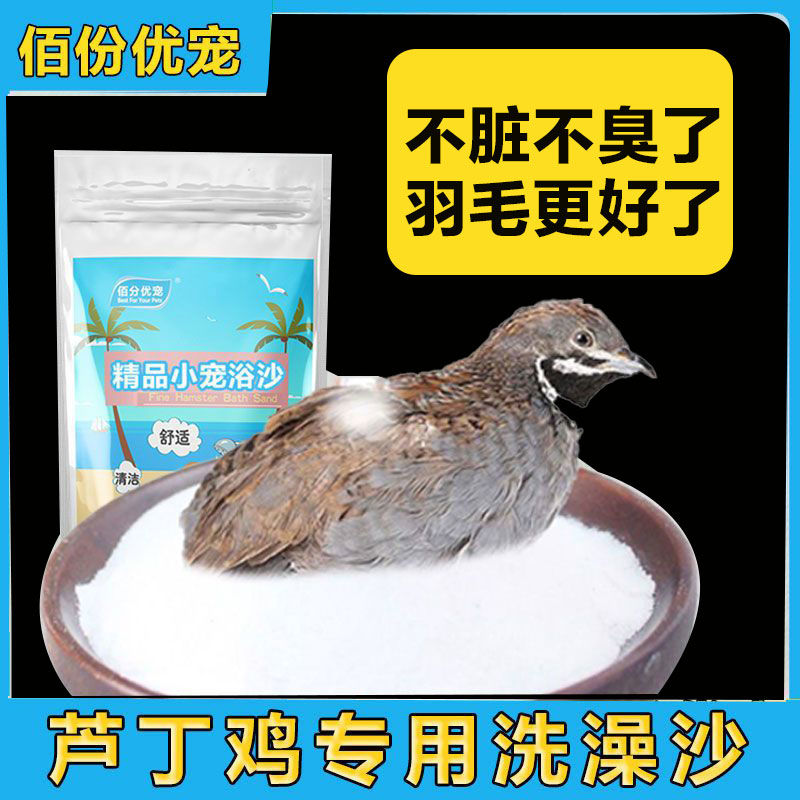 芦丁鸡浴沙干洗沙无尘鹌