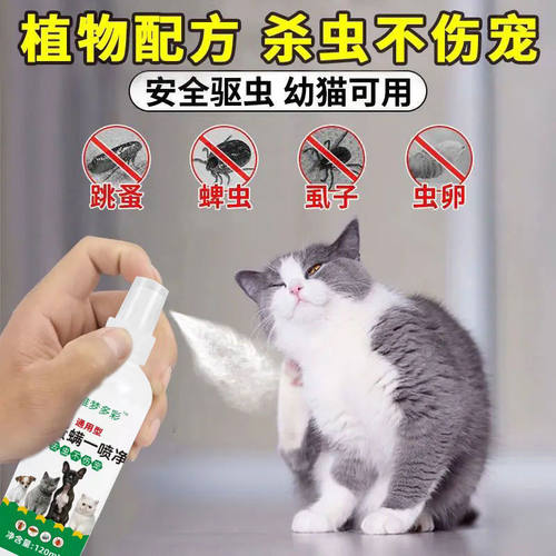 猫咪驱虫药幼猫体外杀虫