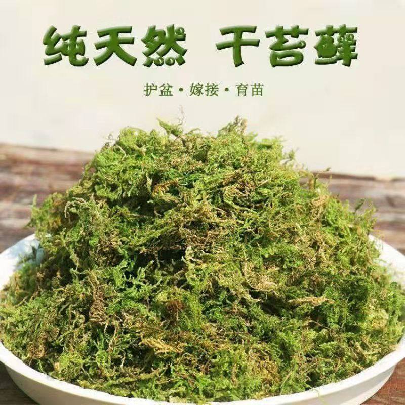 青苔水苔兰花土干苔藓蝴蝶兰专用土石斛兰天然营养土植物种植保湿