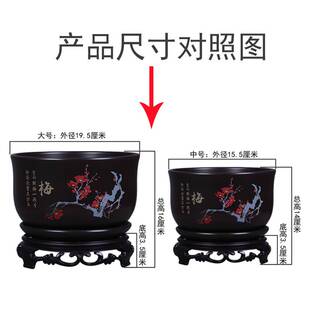 种竹子的专用盆砂釉透气盆景盆栽兰花专用吊兰室内文竹盆清带底座