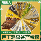 面包虫食粮小鸡开口育 芦丁鸡饲料专用产蛋食物卢丁鸡 咕星人