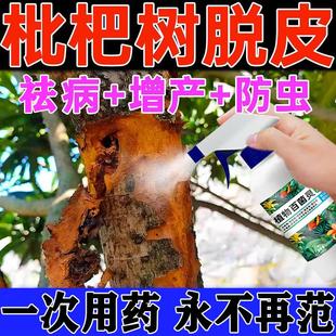 枇杷树专用肥急救枇杷树脱皮掉皮腐烂干腐病果树通用杀菌药剂