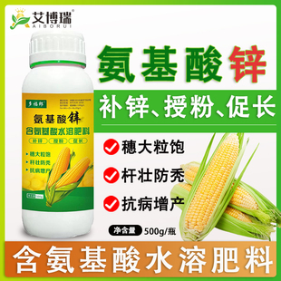 玉米叶面肥料追肥高产拉长膨大籽粒饱满抗倒伏病增加千粒重增
