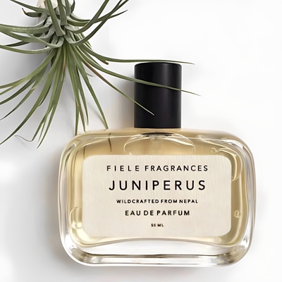 菲勒香水分装试香小样