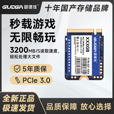 固德佳GV m2  NVMe 2230固态硬盘SSD 512G 1TB 游戏掌机 PCIe3.0