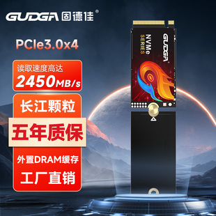 SSD 长江存储颗粒 2242可转2280 PCIe3.0 固德佳M.2固态硬盘 NVMe