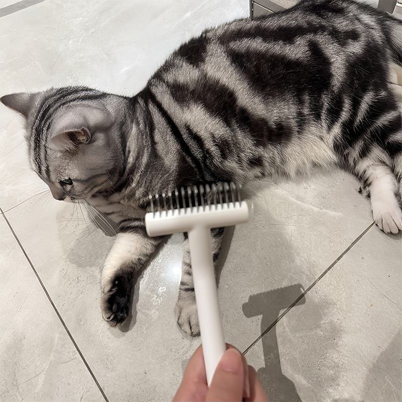 后悔买晚了！！！宠物梳子