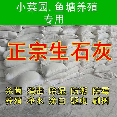 生石灰粉家用鱼塘杀菌养殖喷洒树木除湿净水防潮防霉驱虫干燥剂袋