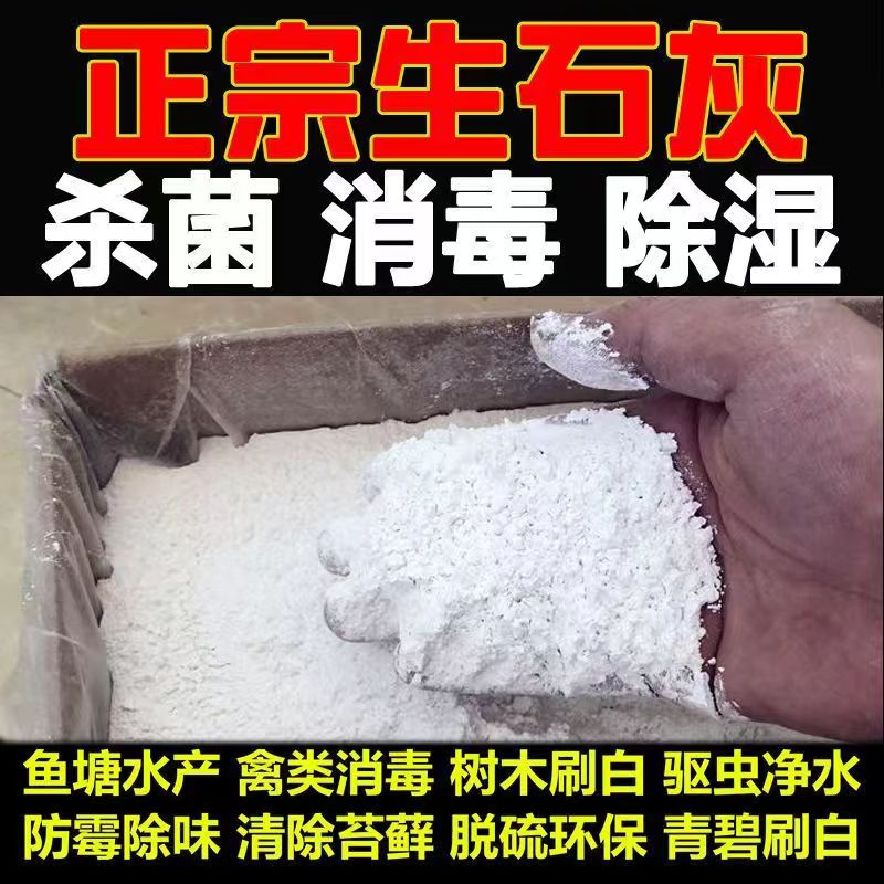 种菜生石灰粉杀菌消毒剂杀虫驱虫剂干燥剂改善水质改良土壤树木白