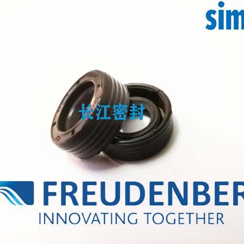CFW BAUM4SLX7 110-130-8 60-90-8 55-75-8德国科德宝油封DIN3760