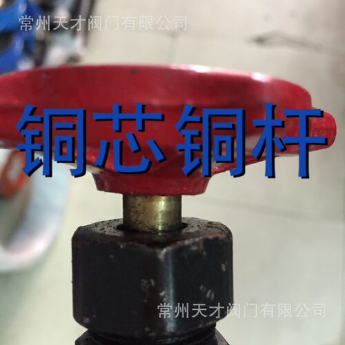 竹箦 丝口闸阀 可锻铸铁闸阀 Z15T 大体铜杆铜芯闸阀 竹箦阀门