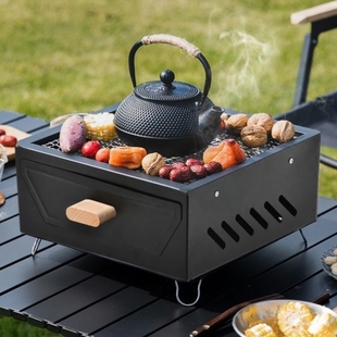 烧烤炉家用新款便携式户外烤鱼烤肉炭火烤炉烤具碳架粘无烟便携折