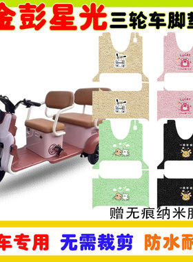 金彭星光NA电动三轮车脚垫JP800DZK-12F防水防滑耐磨丝圈脚踩踏垫