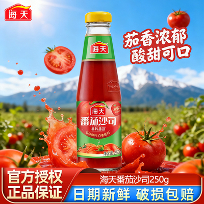 海天番茄沙司250g酸甜厂家直销