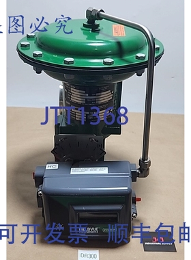 原装供应Fisher 19228955 球阀，带 Fieldvue DVC2000 控制器，2