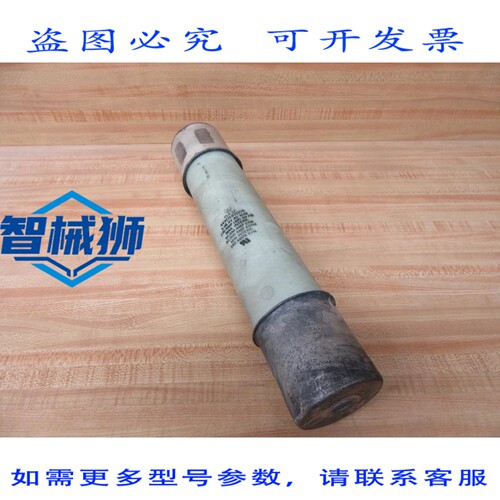 原装供应 449D597G06 保险丝 CLS-12