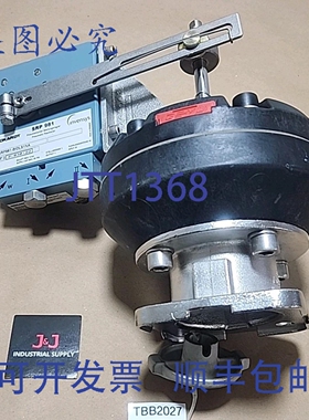 原装供应Eckardt SRP981-BIDLS1NA 带 Gemu 隔膜阀 316L + ！