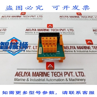 原装供应 TSDO-04UNI MODULO DI USCITA 数字 SICURO 150VDC 2A