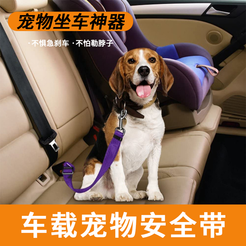 狗狗安全绳宠物坐车神器小型犬中型泰迪车载安全带猫咪汽车安全扣